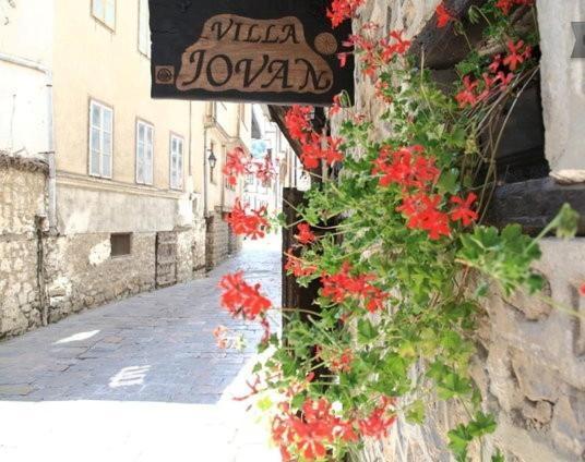 Villa Jovan Ohri Dış mekan fotoğraf